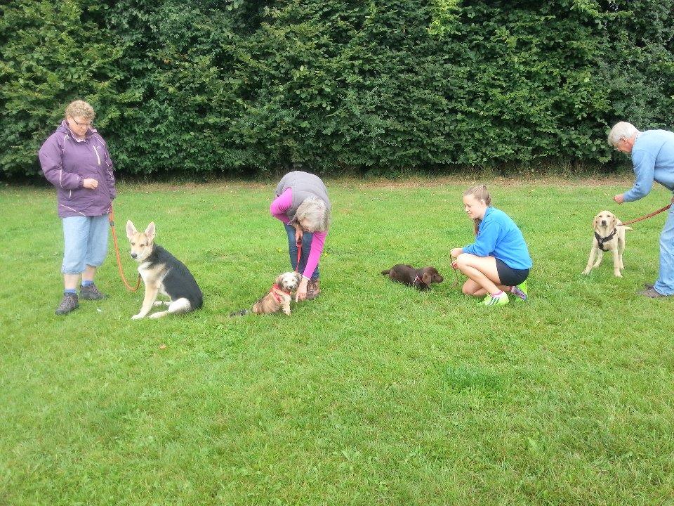 Puppy Class (week 3 of 6)</br>on Sat 27 April 2024</br>Starts at 12:00